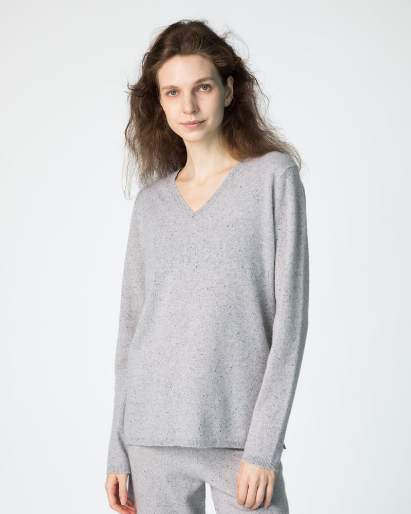 Le Classic V-Neck Sweater - Silvertail