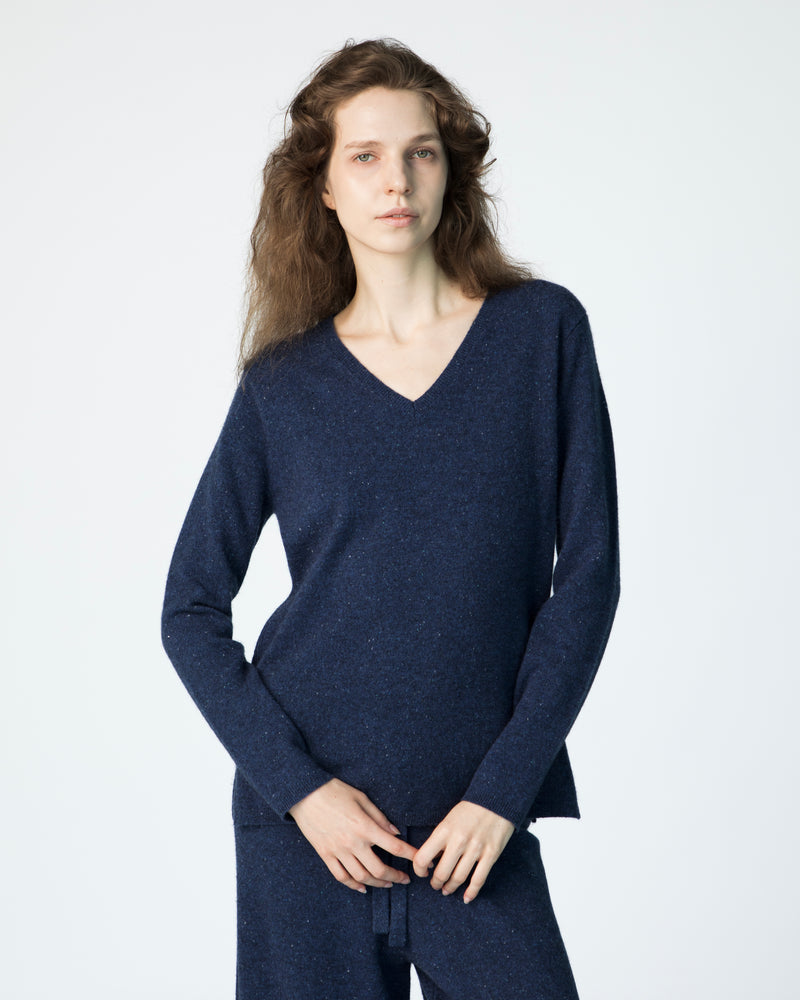 Le Classic V-Neck Sweater - Royal Coachman