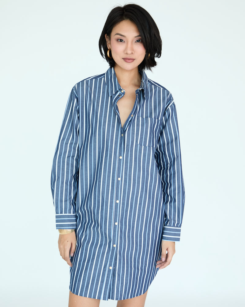 Jules Dress Shirt - Brut Large Stripes