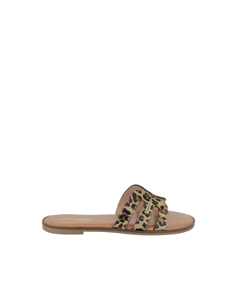 Hamigapo Mules - Leopard