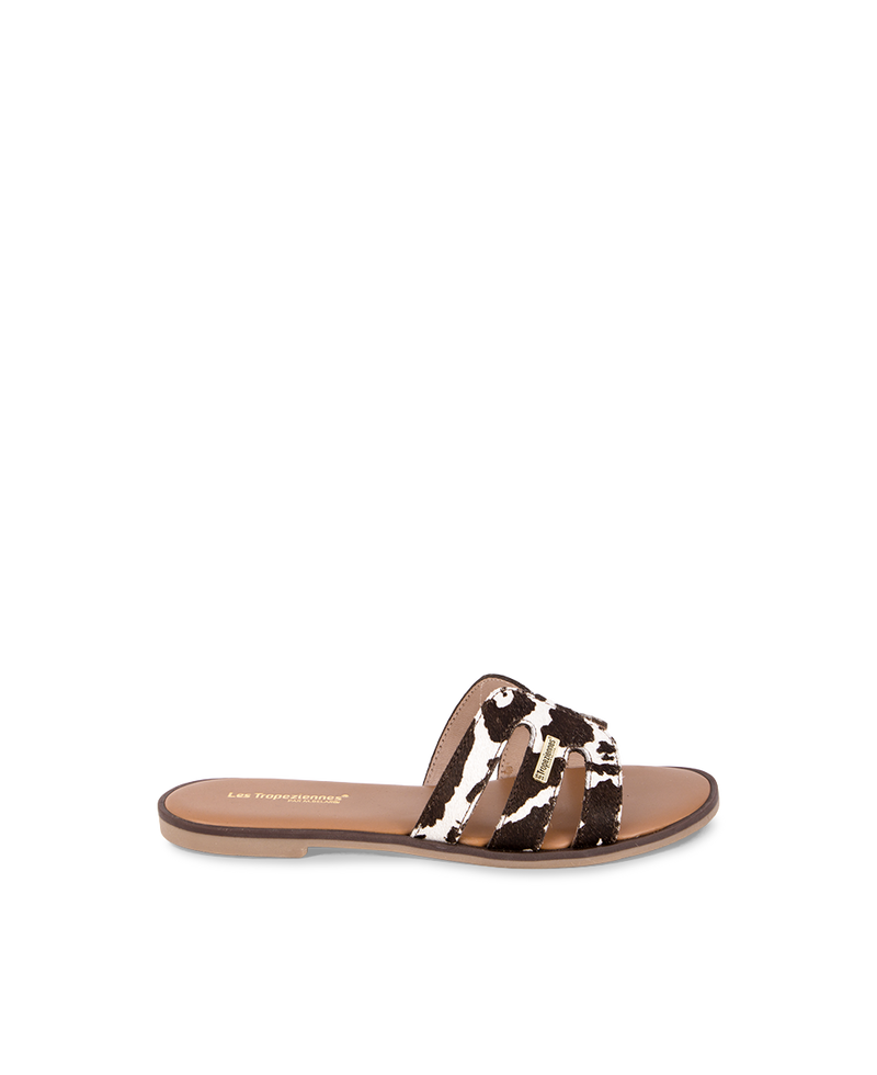 Hamigapo Mules - Cow